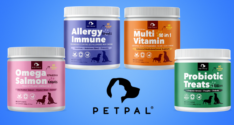 Our 4 Best Selling Treats for a Happy, Healthy Dog