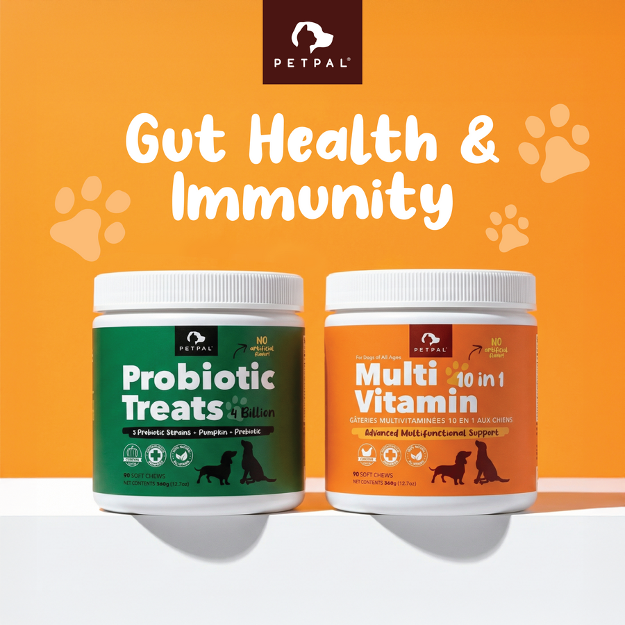 Gut Health & Immunity Bundle