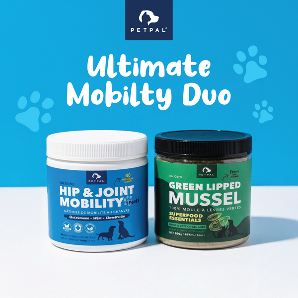 Ultimate Mobility Duo