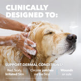 Chlorhexidine Shampoo
