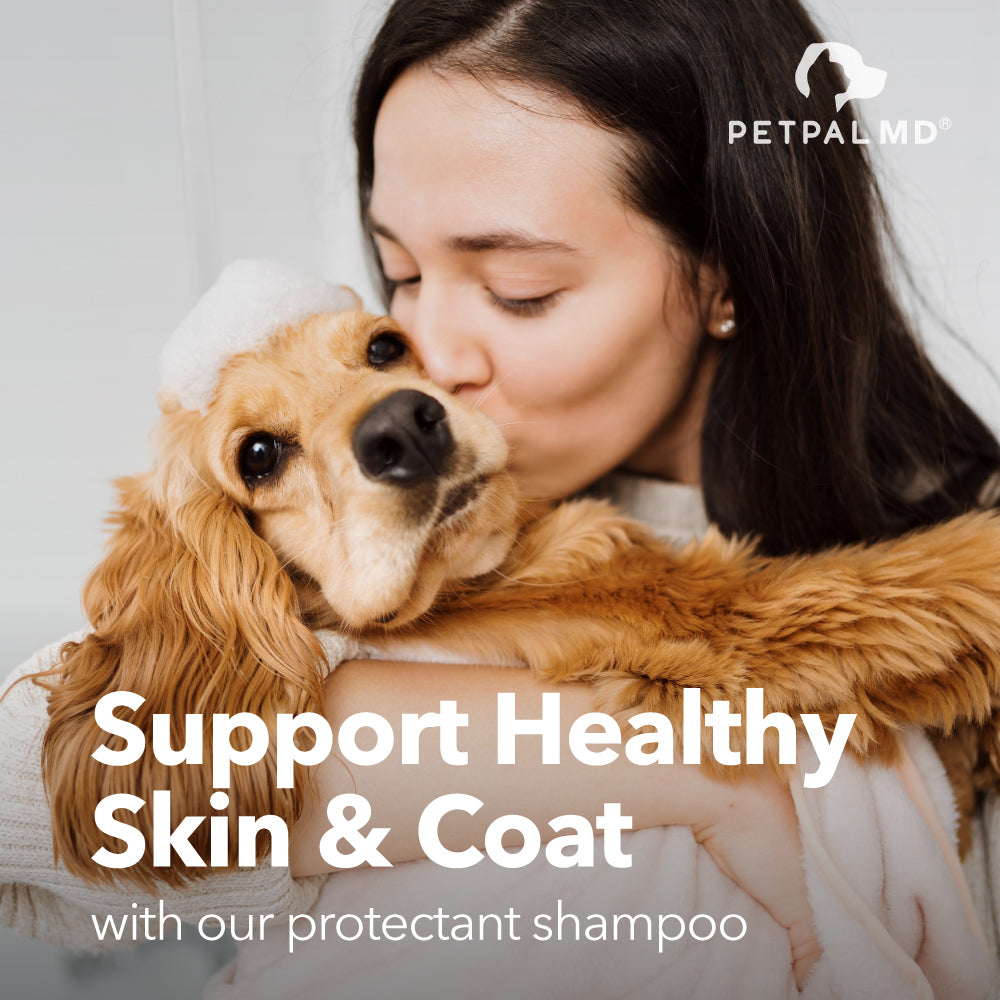 Chlorhexidine Shampoo