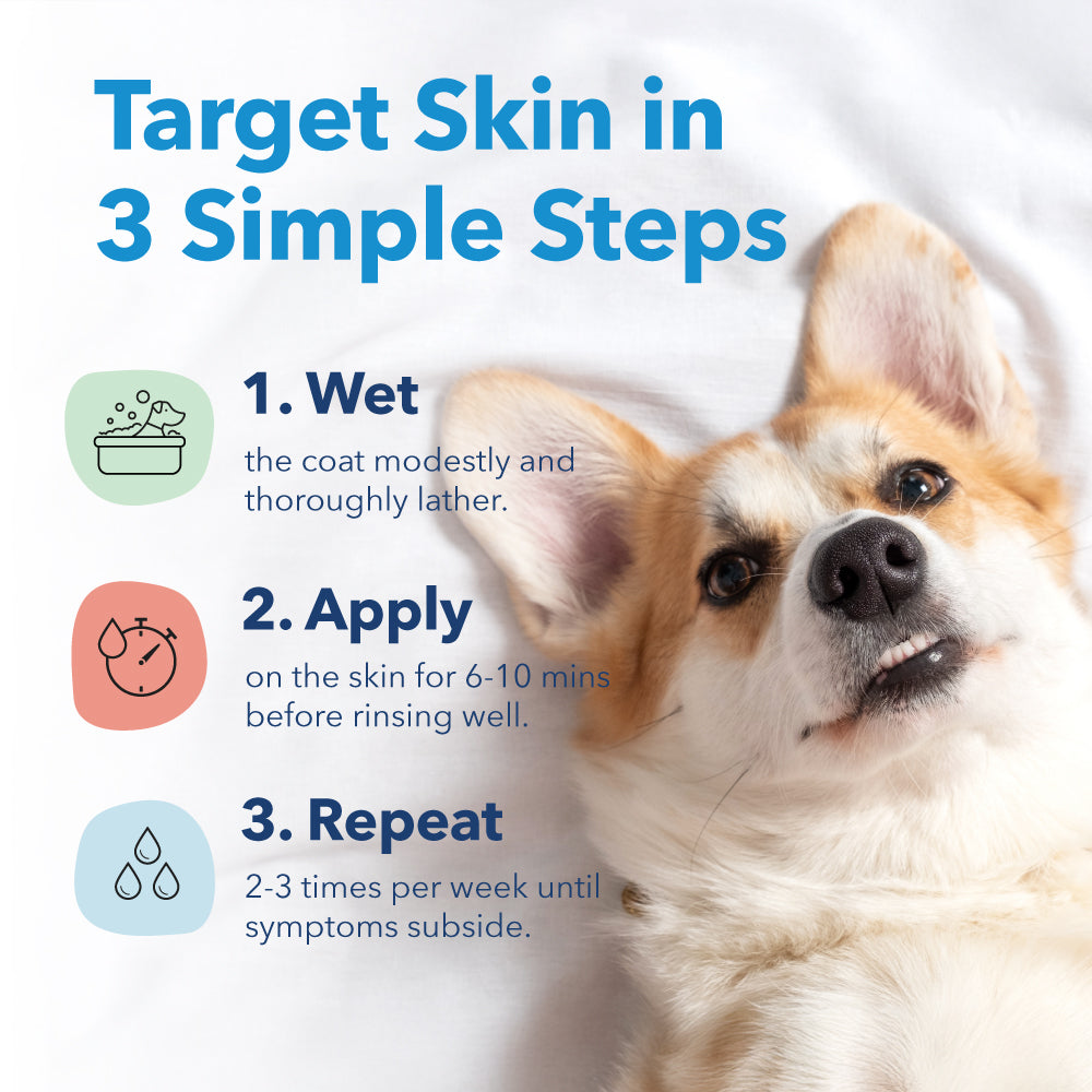 Chlorhexidine Shampoo