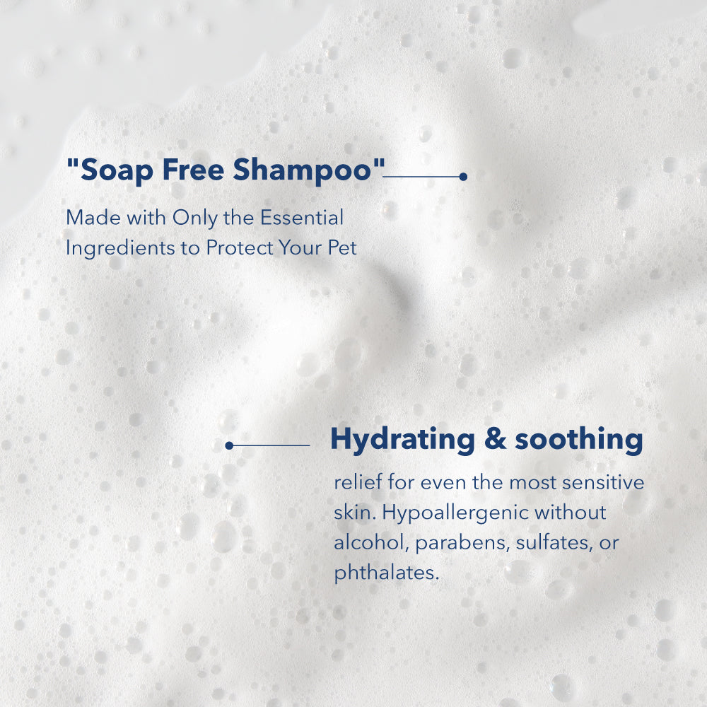 Chlorhexidine Shampoo