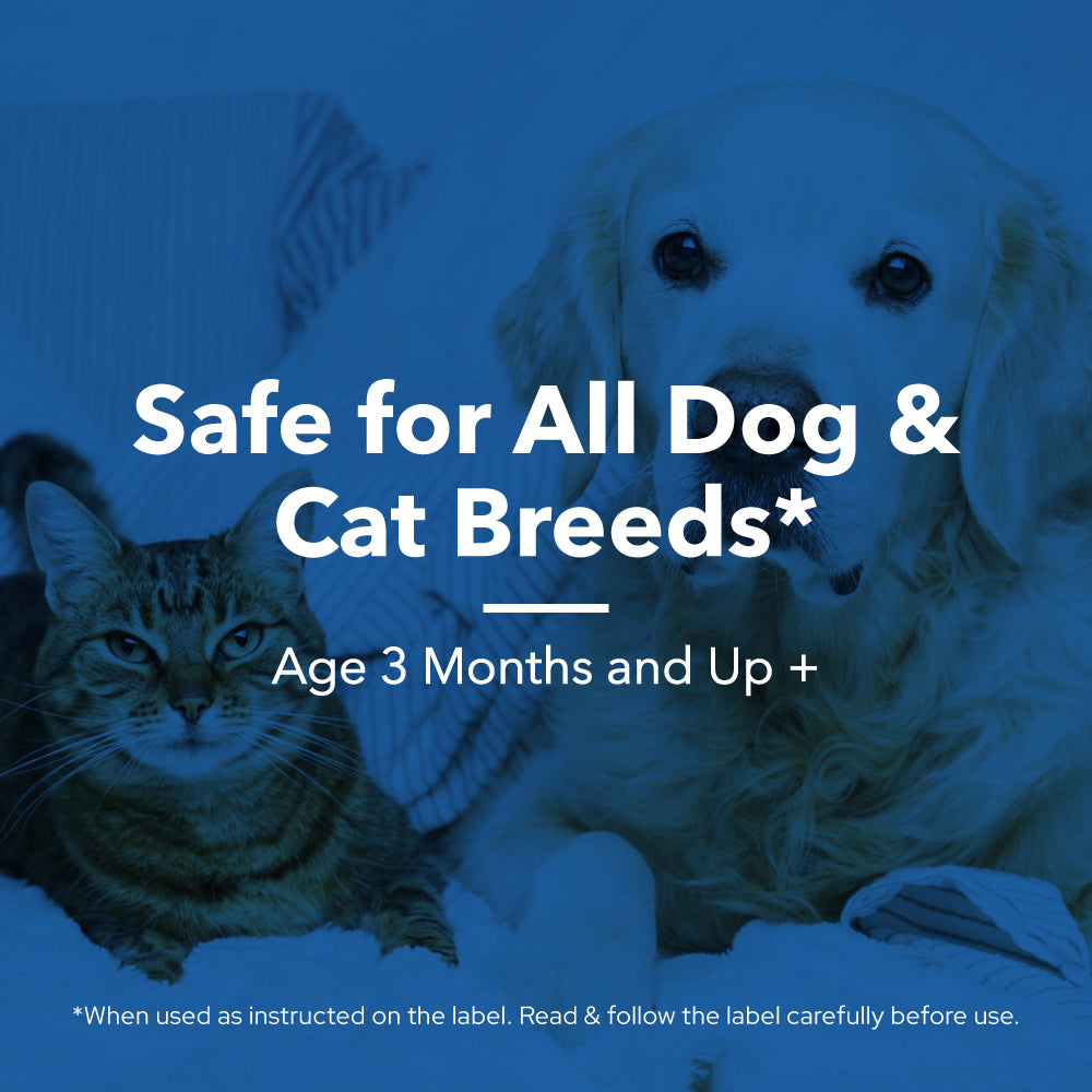 Chlorhexidine Shampoo