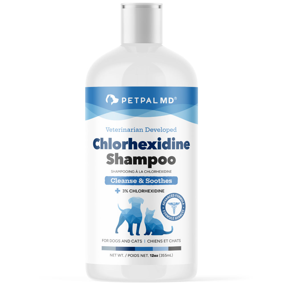 Chlorhexidine Shampoo
