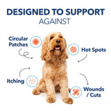 Chlorhexidine Pet Spray