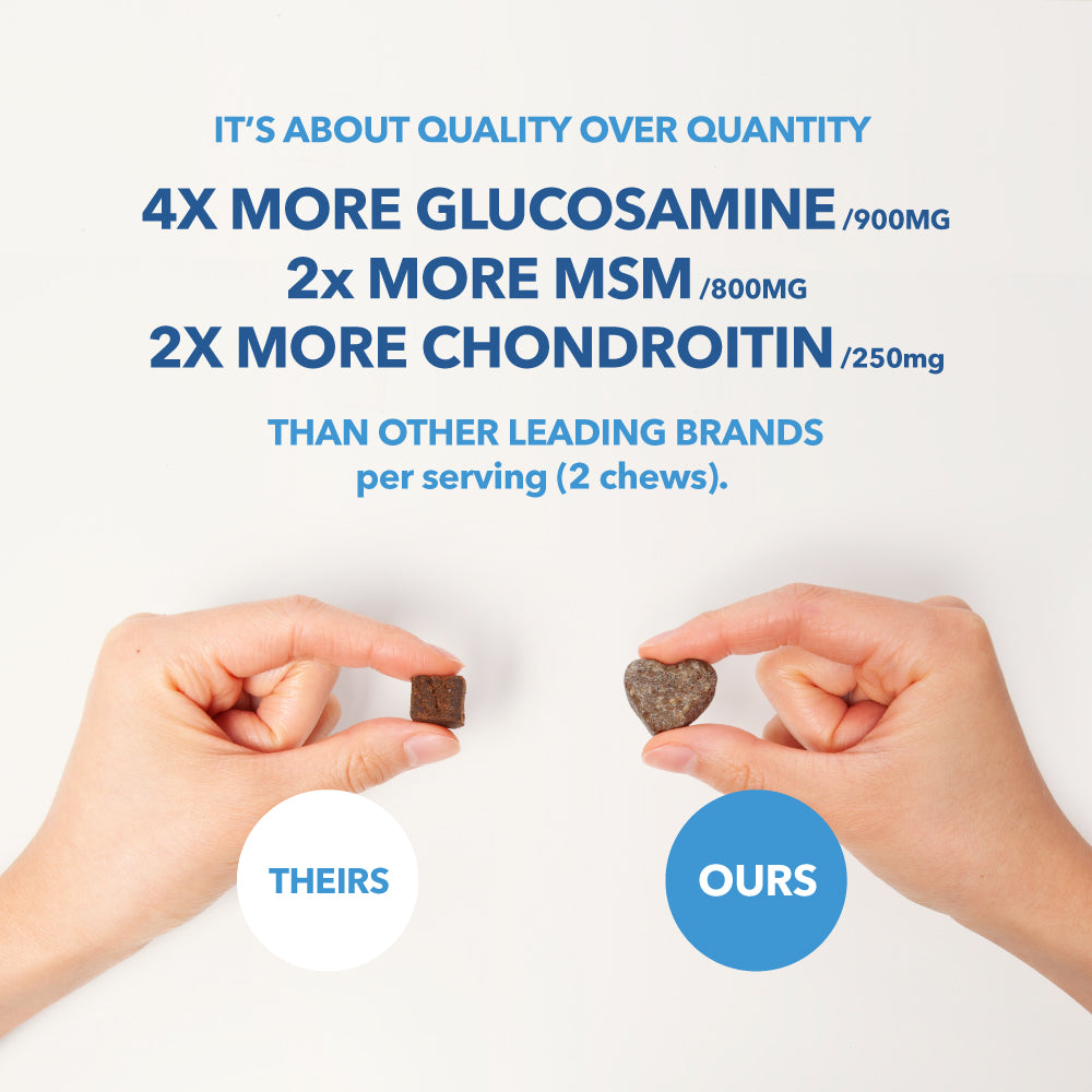 Hip & Joint Health Treats