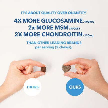 Hip & Joint Health Treats