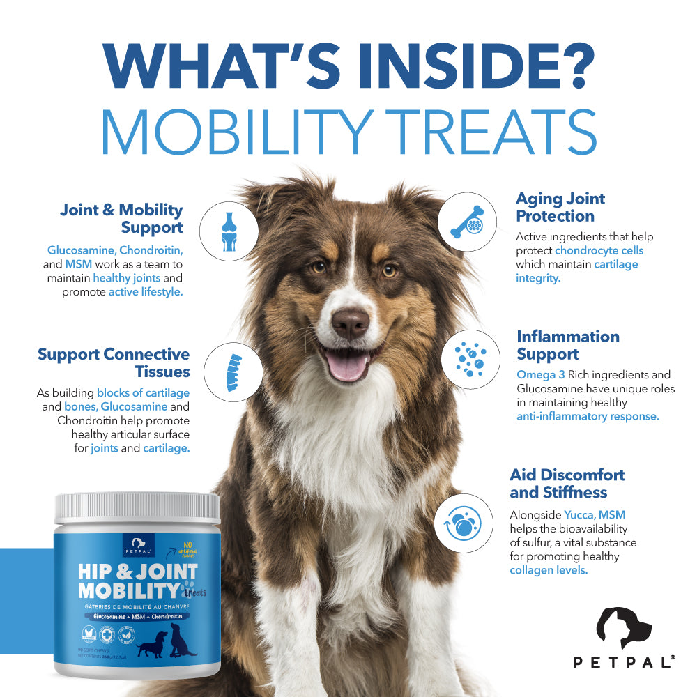 Hip & Joint Health Treats