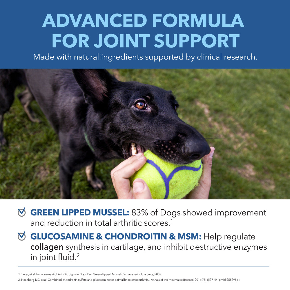 Hip & Joint Health Treats