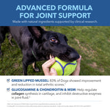 Hip & Joint Health Treats