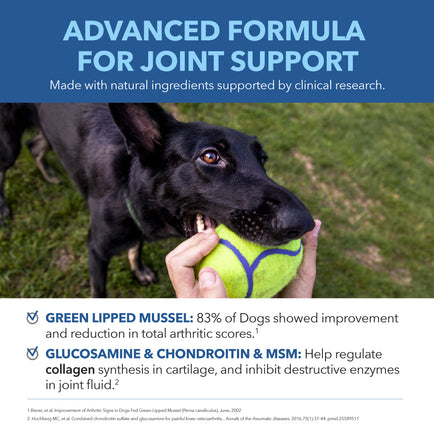 Hip & Joint Health Treats