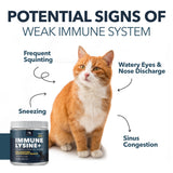 Immune Lysine+ Powder