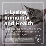 Immune Lysine+ Powder