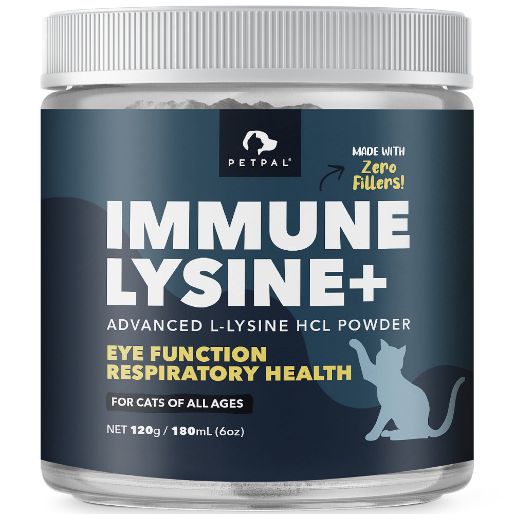 Lysine Powder