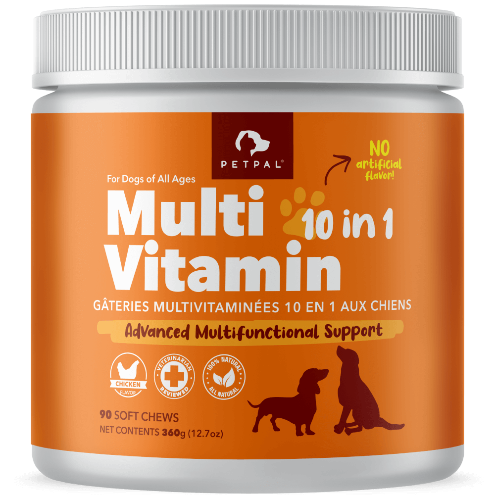 Gut Health & Immunity | Multi Vitamin Soft Chew Treats - Probiotic 4 Billion Treats