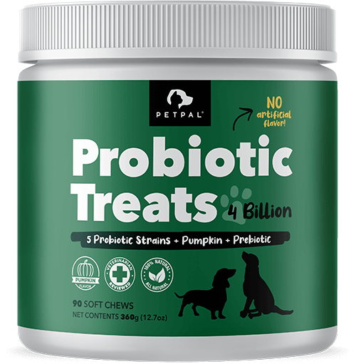 Gut Health & Immunity | Multi Vitamin Soft Chew Treats - Probiotic 4 Billion Treats