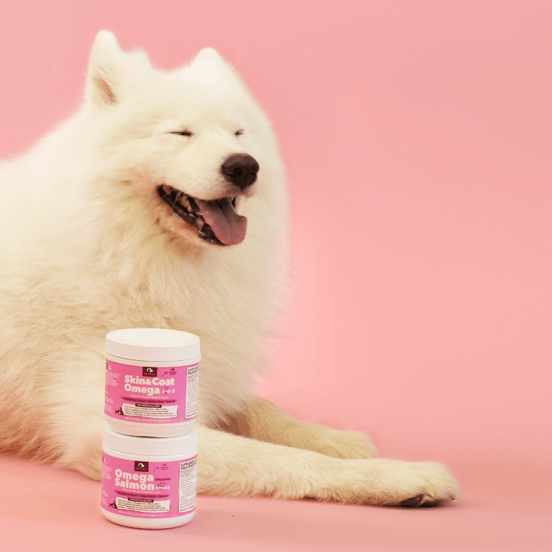 Healthy Glow & Anxiety | Omega Salmon Treats - Pet Organic Hemp Oil