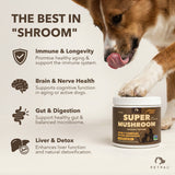 Super Mushroom Powder