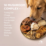 Super Mushroom Powder