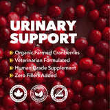 Urinary Support Powder
