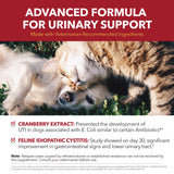 Urinary Support Powder