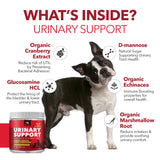 Urinary Support Powder