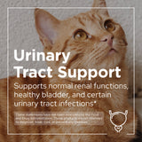 Urinary Support Powder