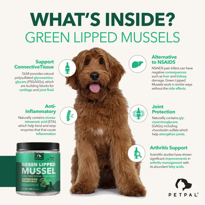 Picky Eater Wellness Bundle | Green Lipped Mussel Powder - Pet Organic Hemp Oil - Probiotic Treats 4 Billion