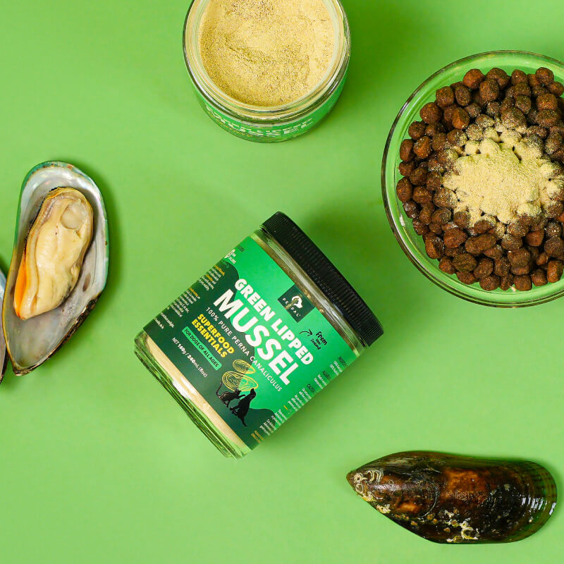 Green Lipped Mussel Powder – Petpal Foods