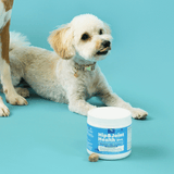 Hip & Joint Health Treats