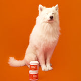 Multi Vitamin Treats