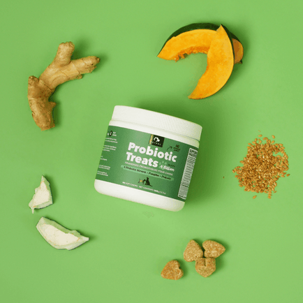 Probiotic Treats 4 Billion