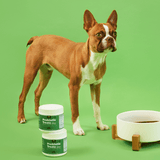 Probiotic Treats · 4 Billion CFU