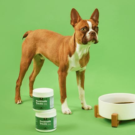 Probiotic Treats 4 Billion