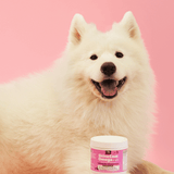 Skin & Coat Omega Treats