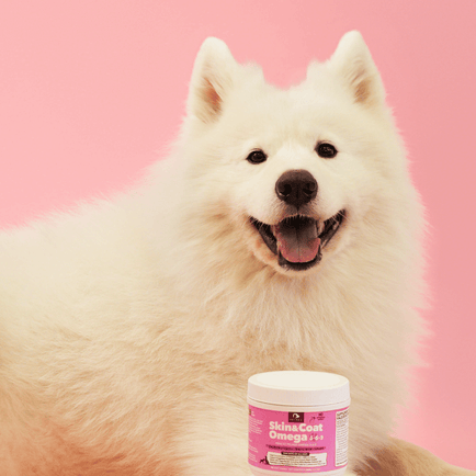 Skin & Coat Omega Treats