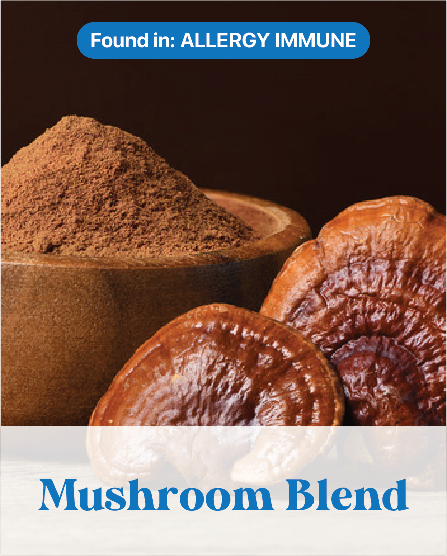 Mushroom Blend