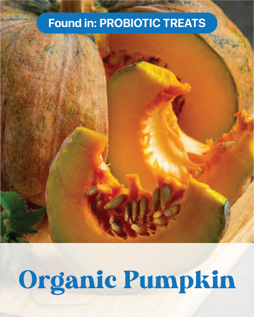 Organic Pumpkin