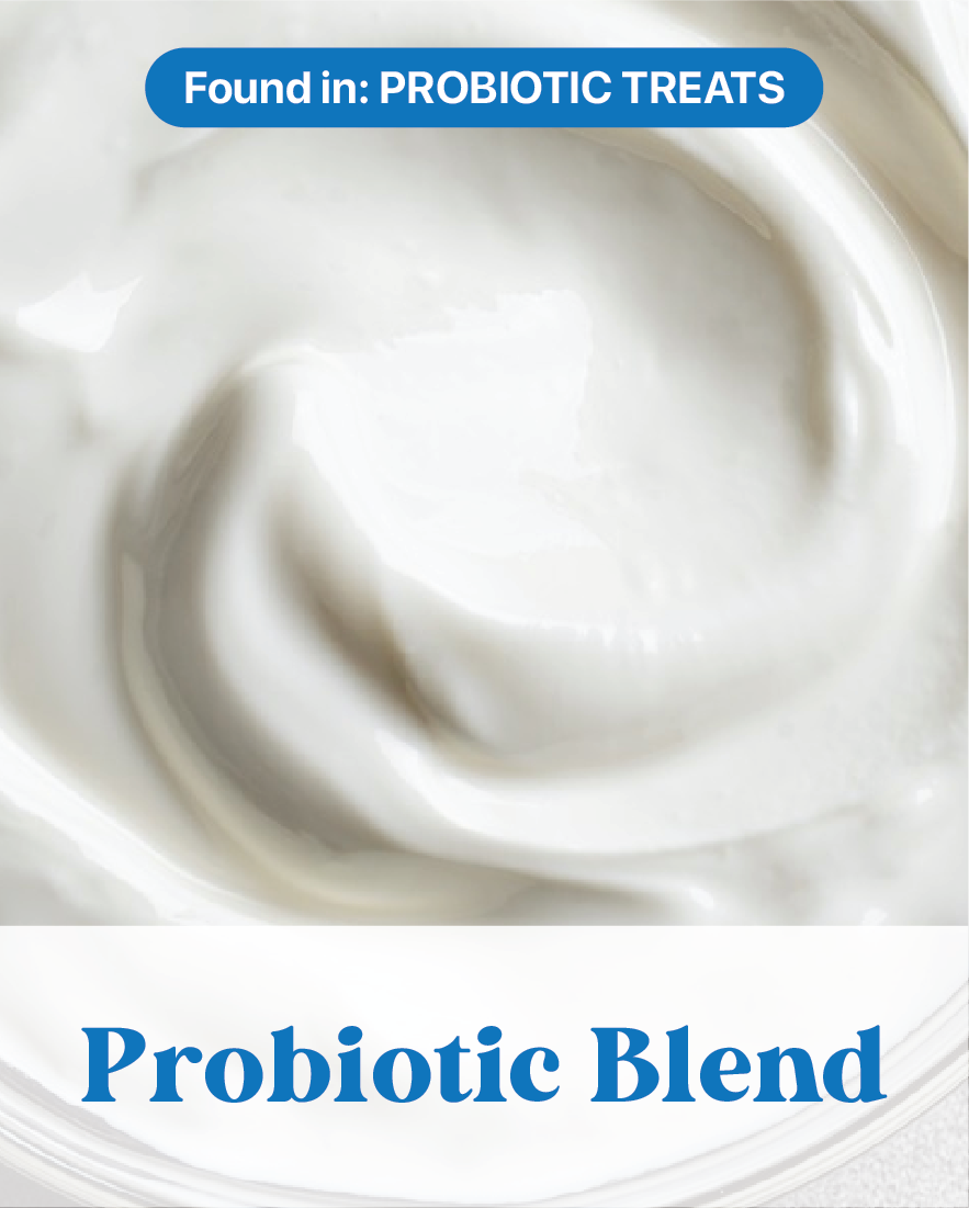 Probiotic Blend