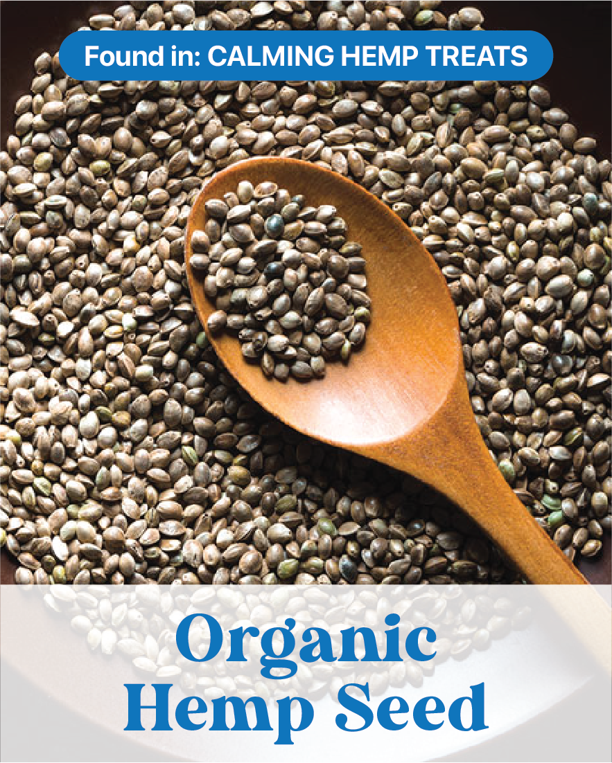 Organic Hemp Seed