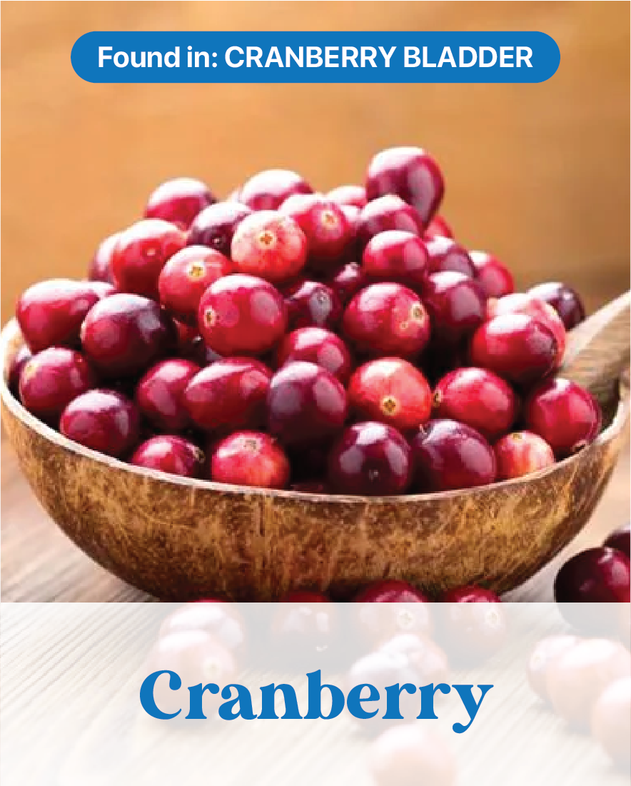 Cranberry
