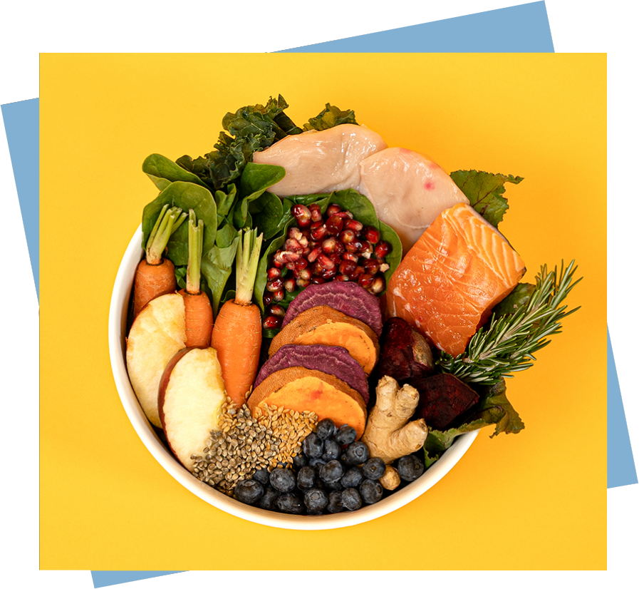 Real-food bowl — salmon, vegetables and berries