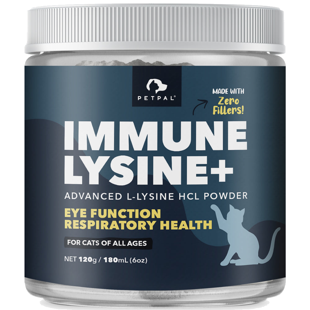 Immune Lysine+ Powder
