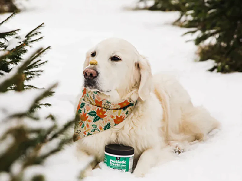 petpalfoods on Instagram
