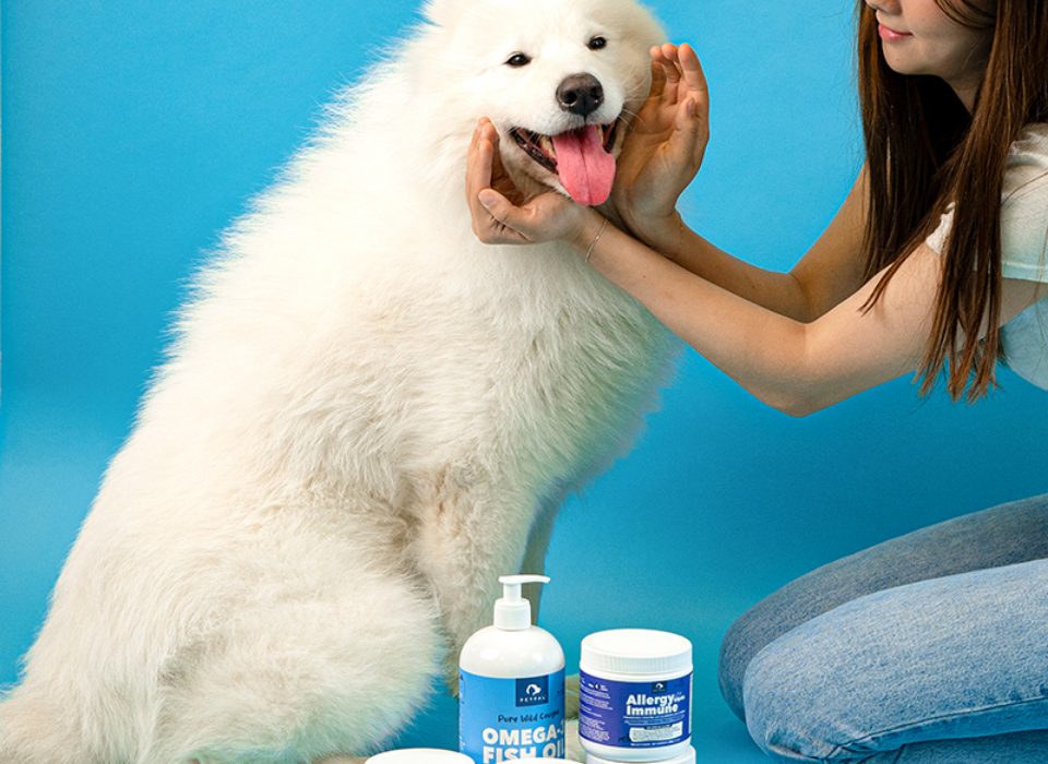 petpalfoods on Instagram